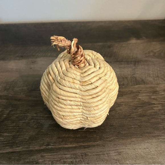 Target Threshold Natural Fall Boho Pumpkin - Picture 6 of 8